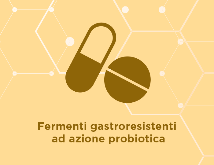 Fermenti gastroresistenti ad azione probiotica - Biolactine