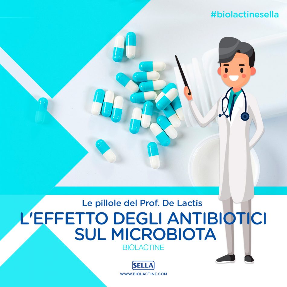 L'effetto degli antibiotici sul microbiota - Biolactine