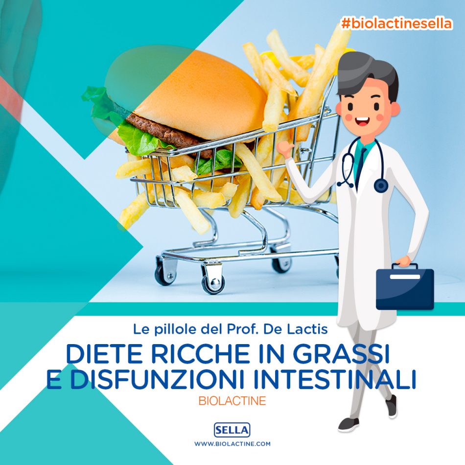 Diete ricche in grassi e disfunzioni intestinali - Biolactine