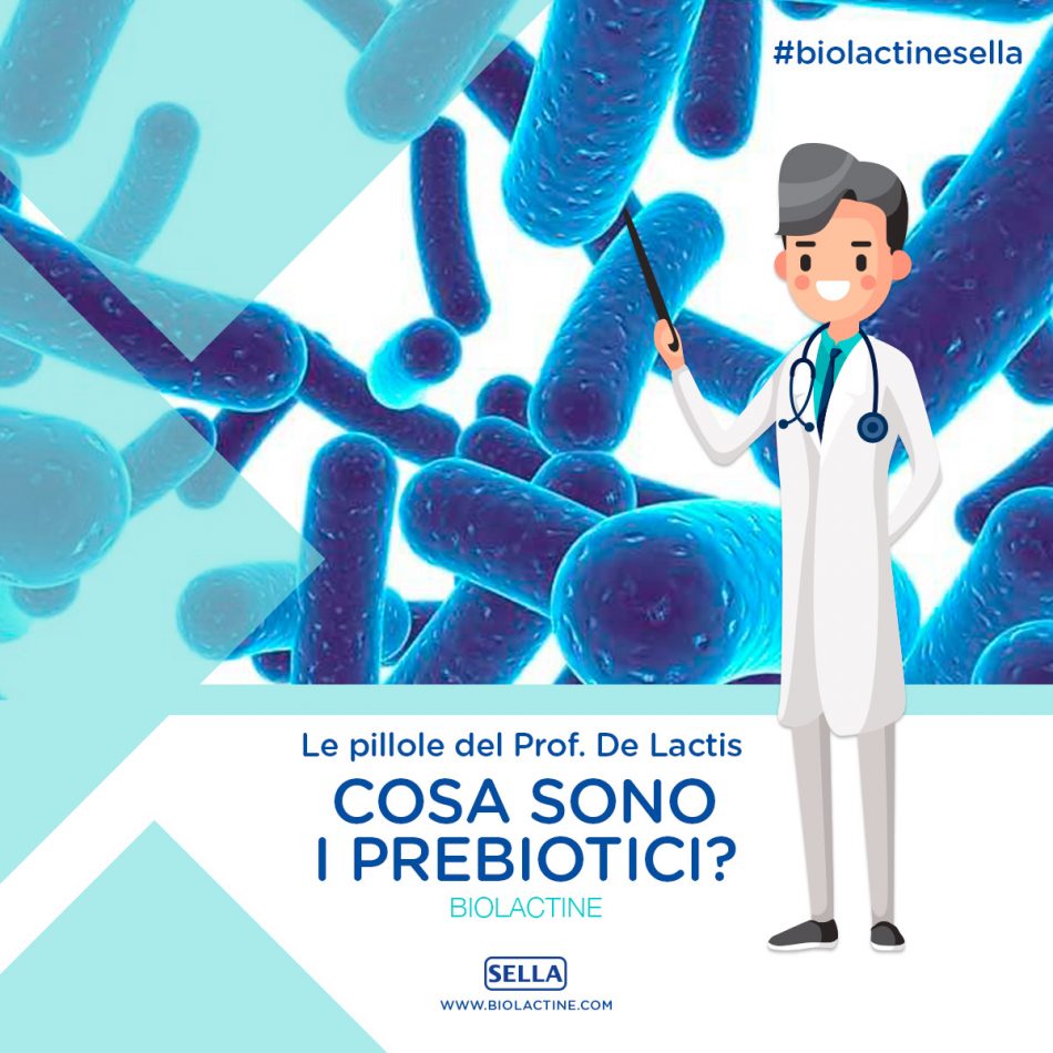 Cosa sono i prebiotici? - Biolactine