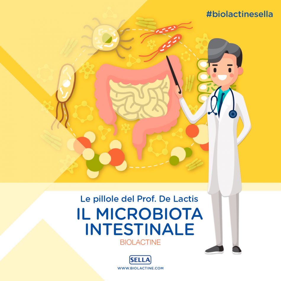 Il microbiota intestinale - Biolactine